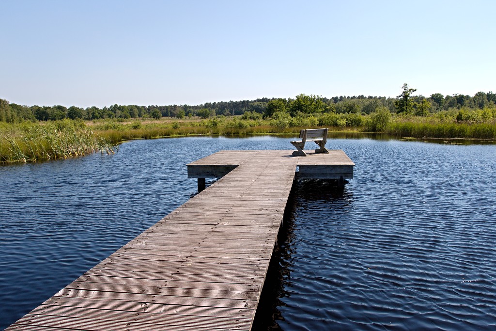 kalmhoutese heide hei hdr natuurgebied natuur landschap natuurpark natuurreservaat wandelen heidegebied bossen vennen
